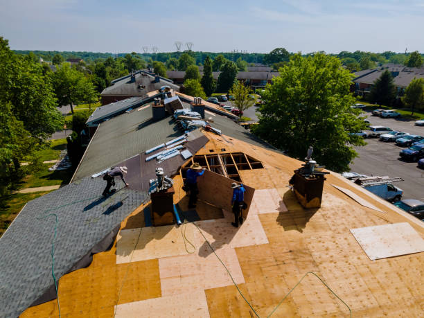 Trusted Roofing service in Louisburg, KS - Brentwood Metal Roofing
